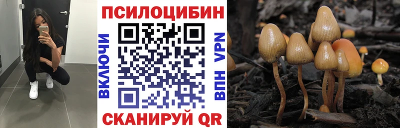 kraken ТОР  Шлиссельбург  Галлюциногенные грибы MAGIC MUSHROOMS  купить наркоту 